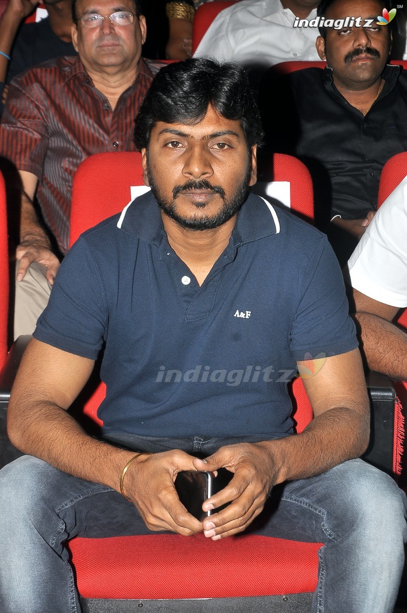 'Bengal Tiger' Audio Launch (Set-1)