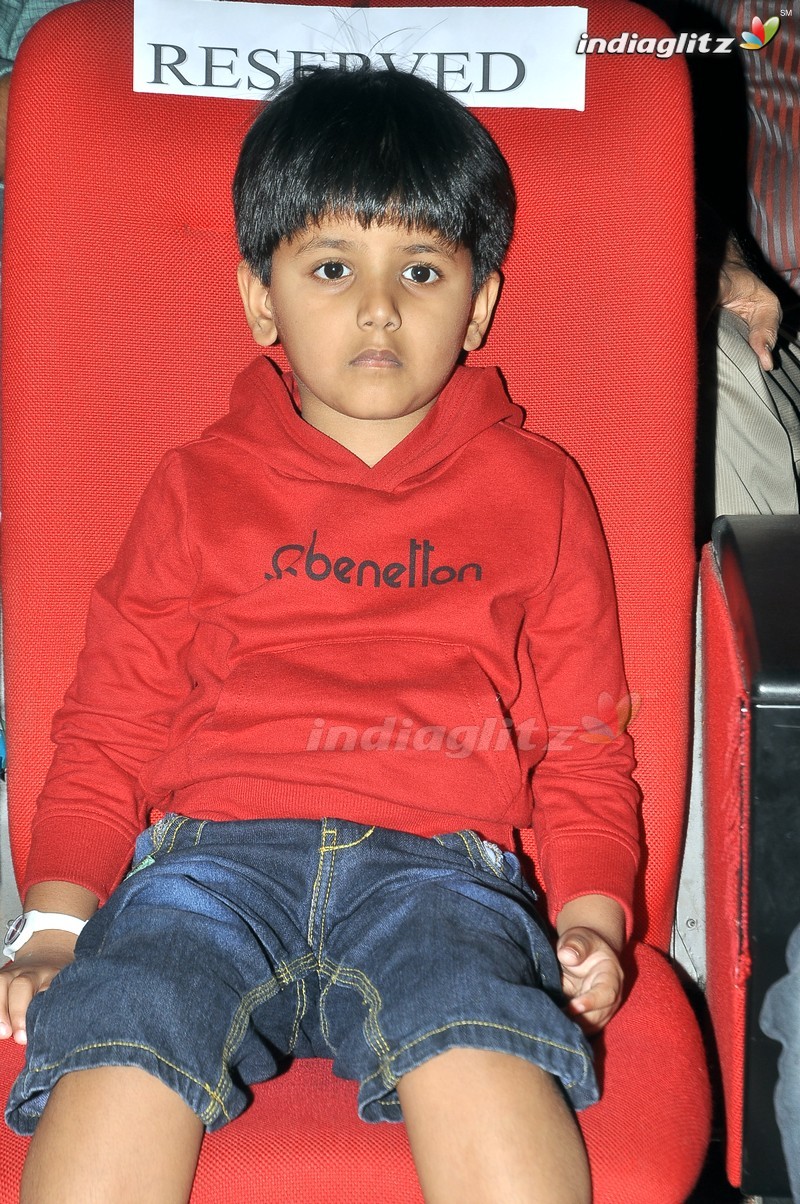 'Bengal Tiger' Audio Launch (Set-1)