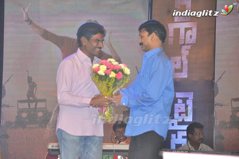 'Bengal Tiger' Audio Launch (Set-1)