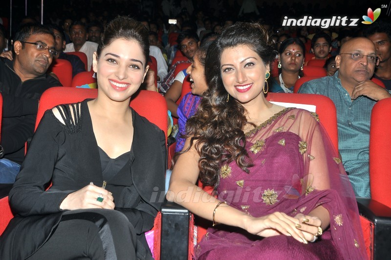 'Bengal Tiger' Audio Launch (Set-1)