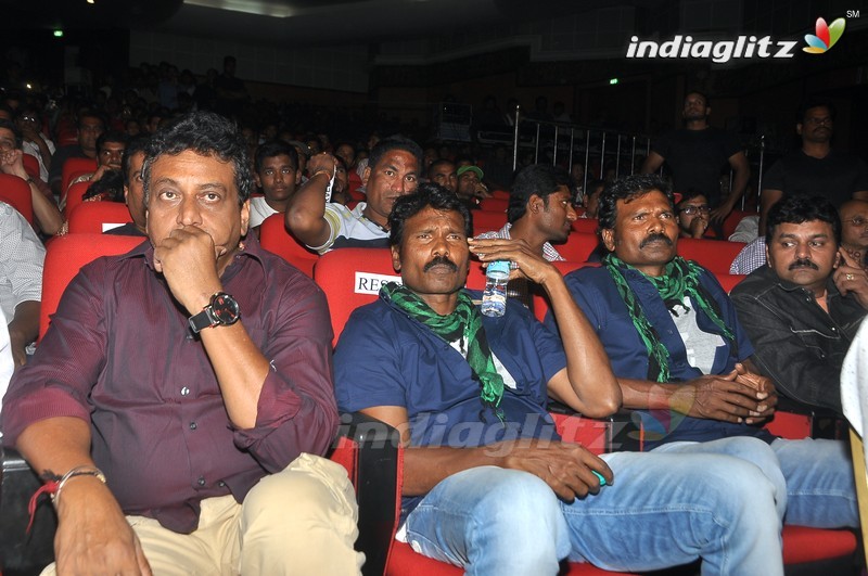 'Bengal Tiger' Audio Launch (Set-1)