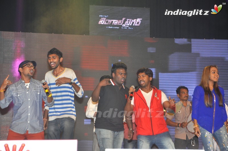 'Bengal Tiger' Audio Launch (Set-1)