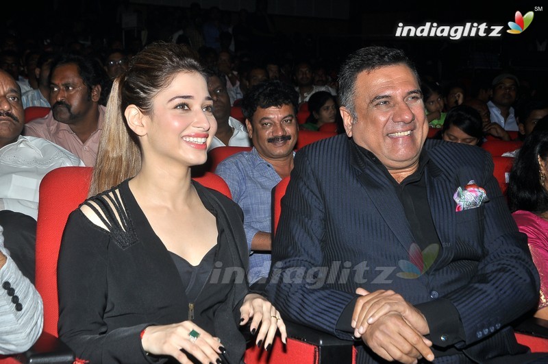 'Bengal Tiger' Audio Launch (Set-1)