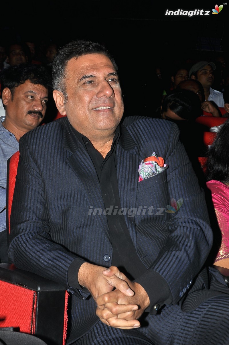 'Bengal Tiger' Audio Launch (Set-1)