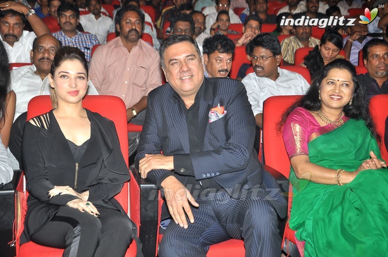 'Bengal Tiger' Audio Launch (Set-1)