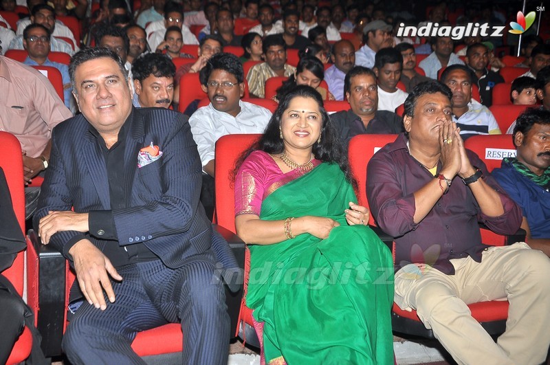 'Bengal Tiger' Audio Launch (Set-1)