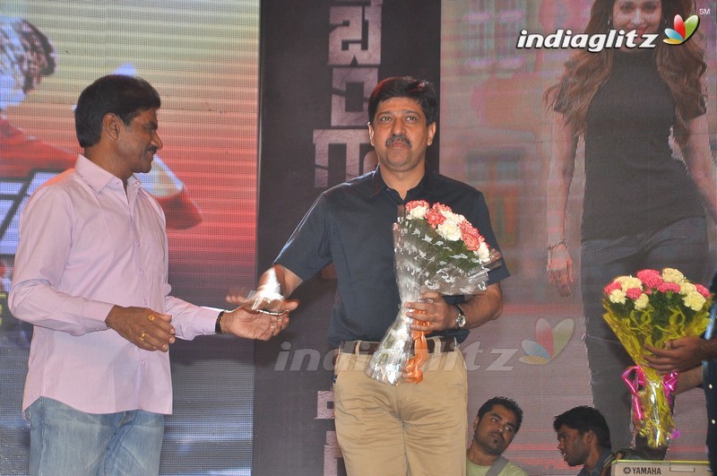 'Bengal Tiger' Audio Launch (Set-1)