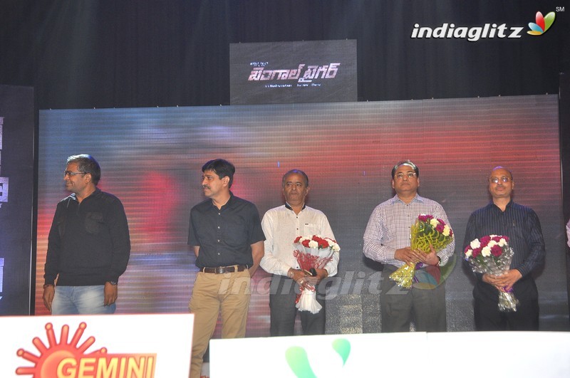 'Bengal Tiger' Audio Launch (Set-1)