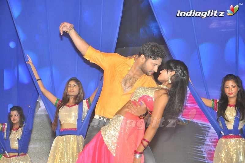 'Bengal Tiger' Audio Launch (Set-1)