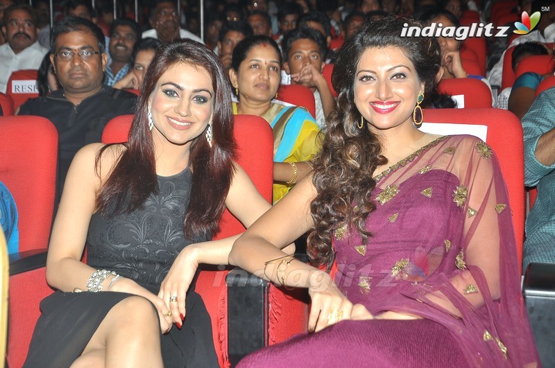 'Bengal Tiger' Audio Launch (Set-1)