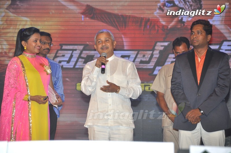 'Bengal Tiger' Audio Launch (Set-1)