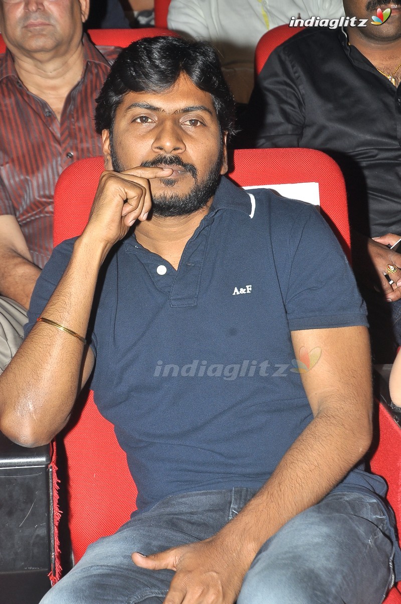 'Bengal Tiger' Audio Launch (Set-1)