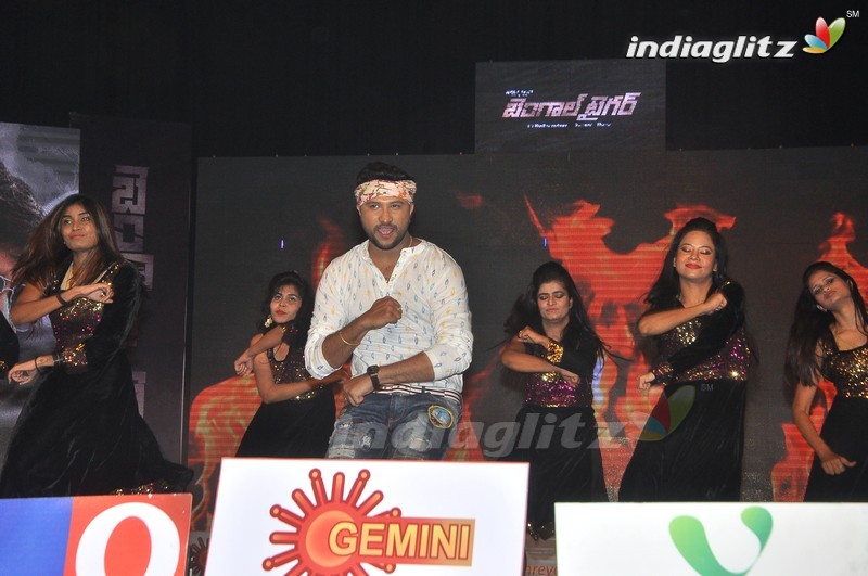 'Bengal Tiger' Audio Launch (Set-2)