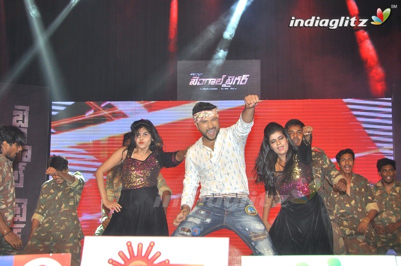 'Bengal Tiger' Audio Launch (Set-2)