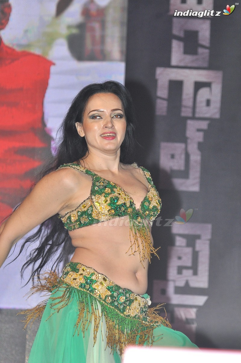 'Bengal Tiger' Audio Launch (Set-2)