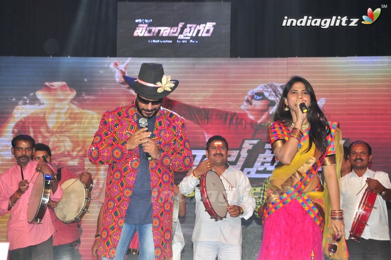 'Bengal Tiger' Audio Launch (Set-2)