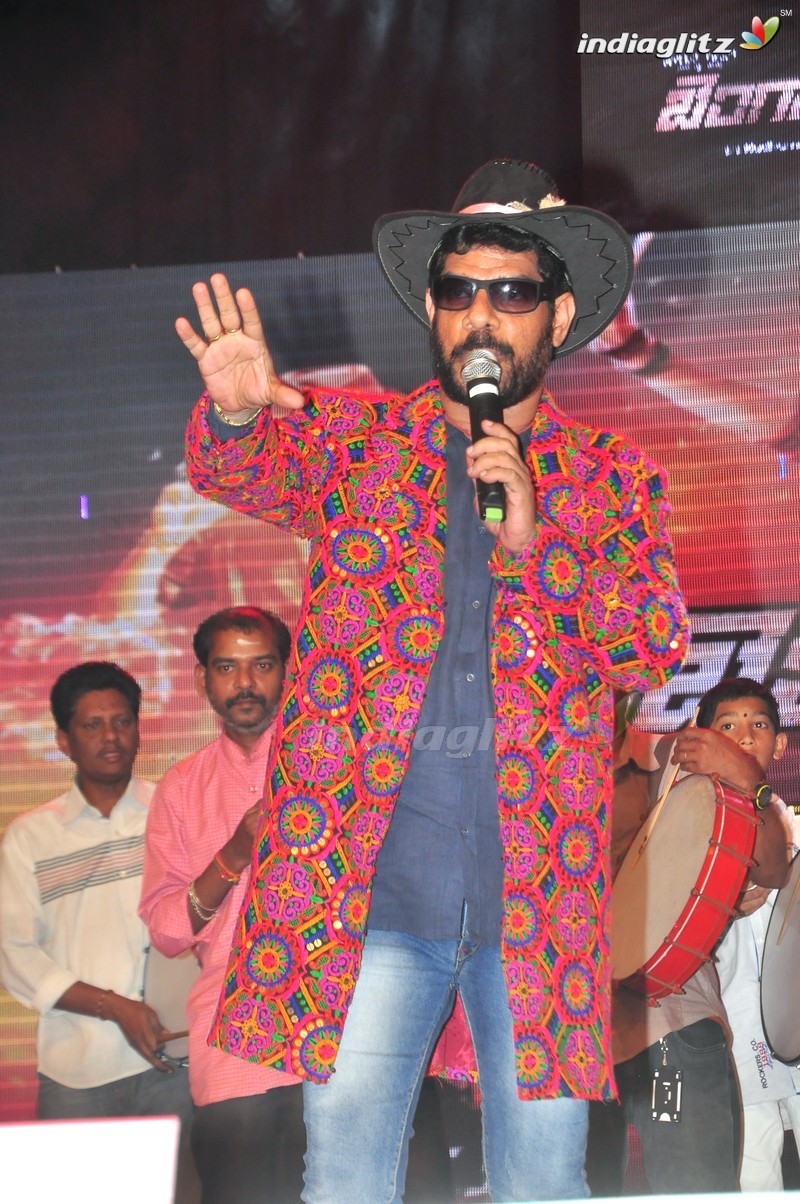 'Bengal Tiger' Audio Launch (Set-2)