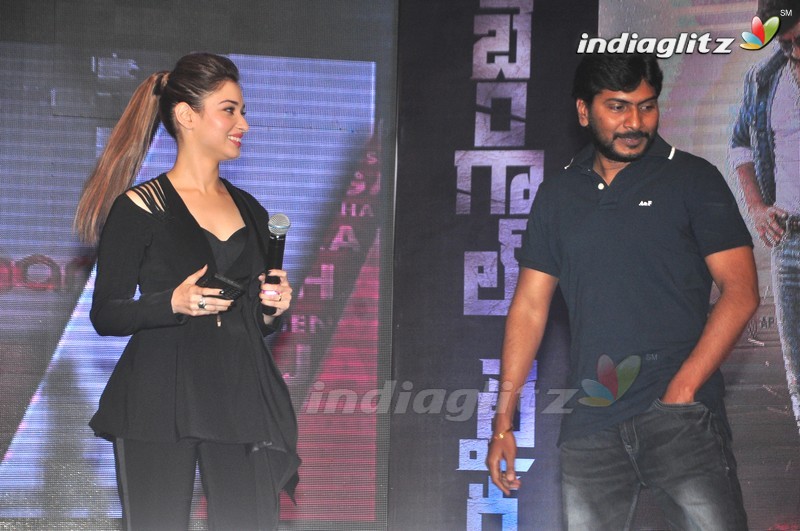 'Bengal Tiger' Audio Launch (Set-2)