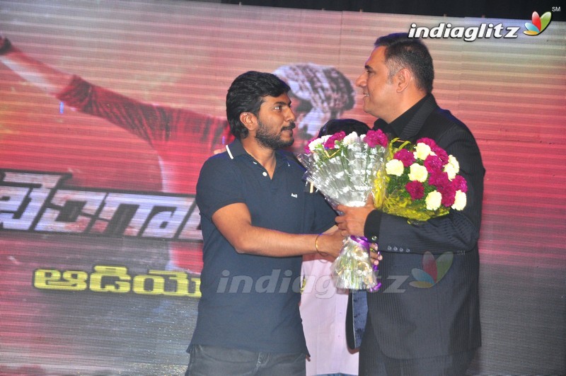 'Bengal Tiger' Audio Launch (Set-2)