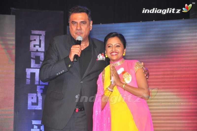 'Bengal Tiger' Audio Launch (Set-2)