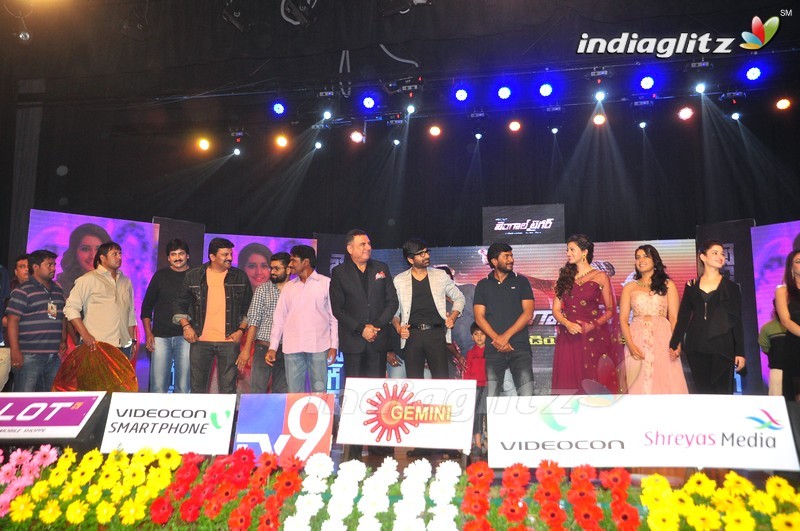 'Bengal Tiger' Audio Launch (Set-2)