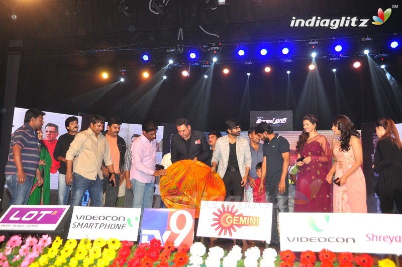 'Bengal Tiger' Audio Launch (Set-2)