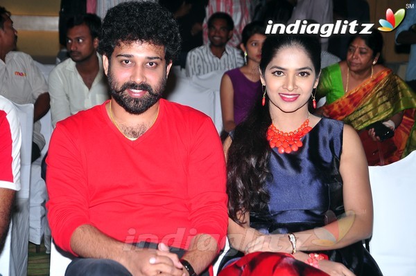 'Bhale Bhale Mogadivoy' Success Meet