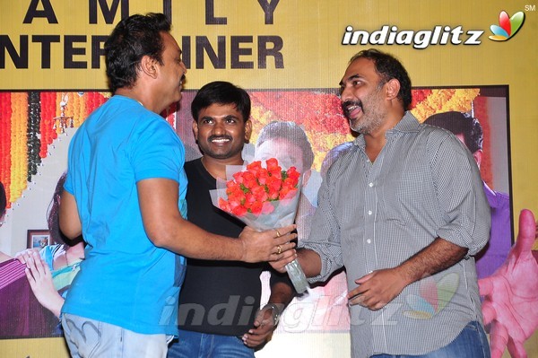 'Bhale Bhale Mogadivoy' Success Meet