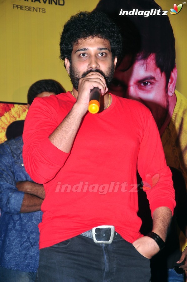 'Bhale Bhale Mogadivoy' Success Meet