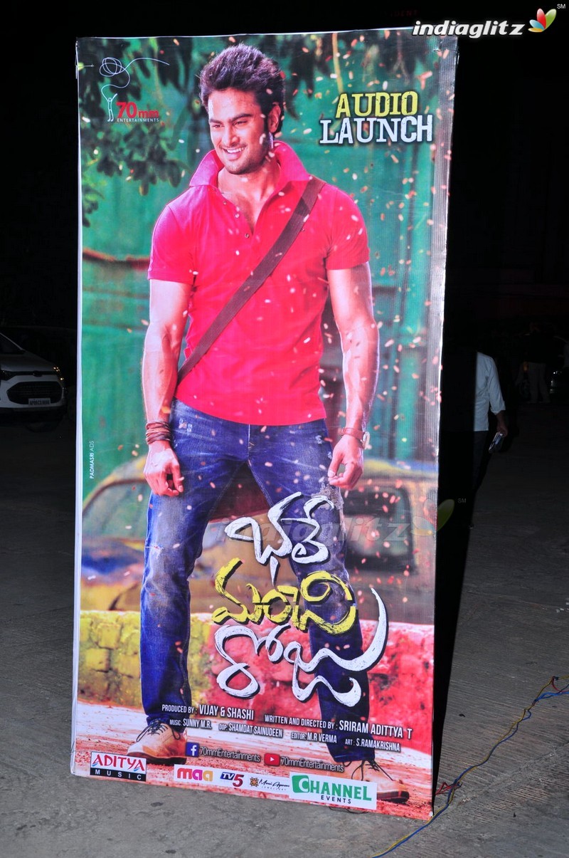 'Bhale Manchi Roju' Audio Launch (Set-01)