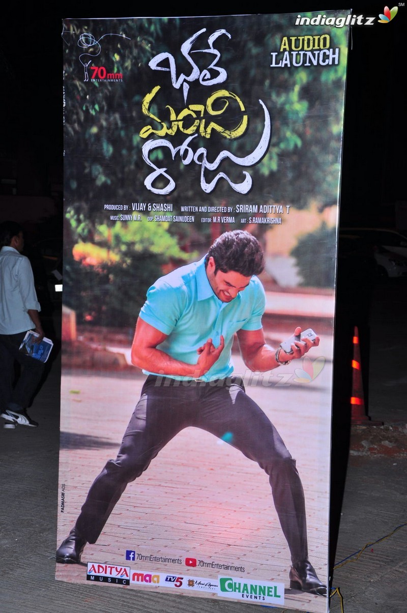 'Bhale Manchi Roju' Audio Launch (Set-01)