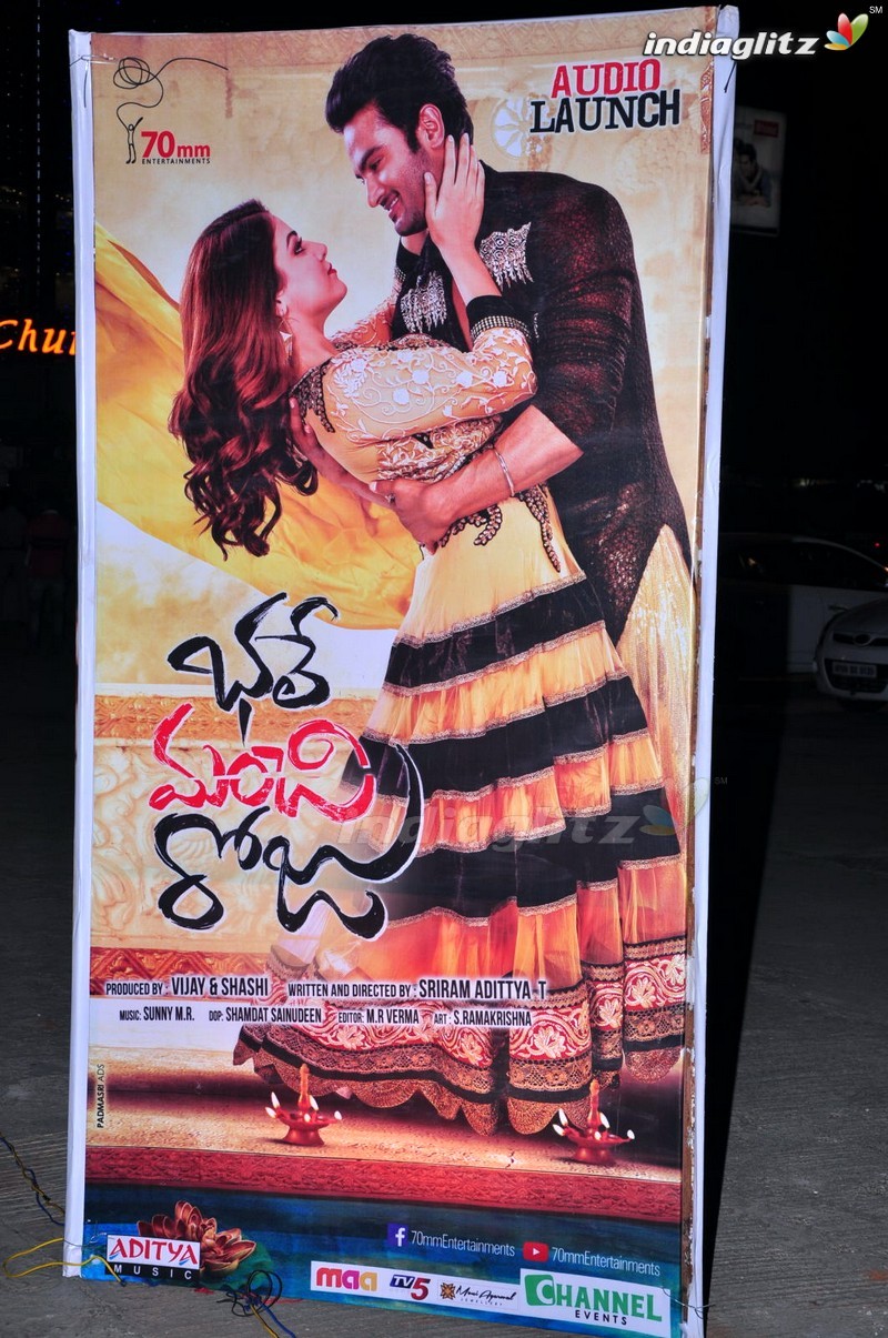 'Bhale Manchi Roju' Audio Launch (Set-01)