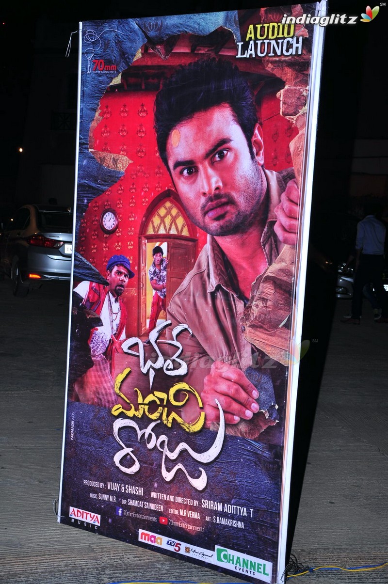 'Bhale Manchi Roju' Audio Launch (Set-01)