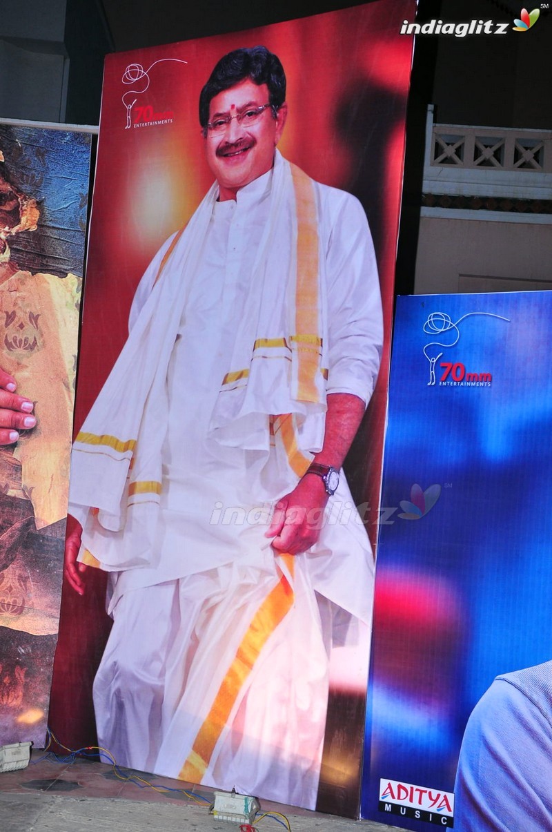 'Bhale Manchi Roju' Audio Launch (Set-01)