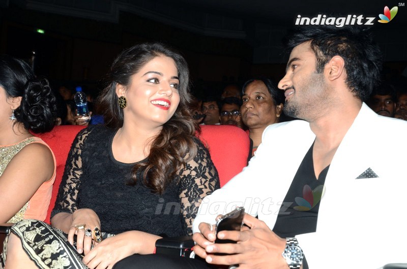 'Bhale Manchi Roju' Audio Launch (Set-01)