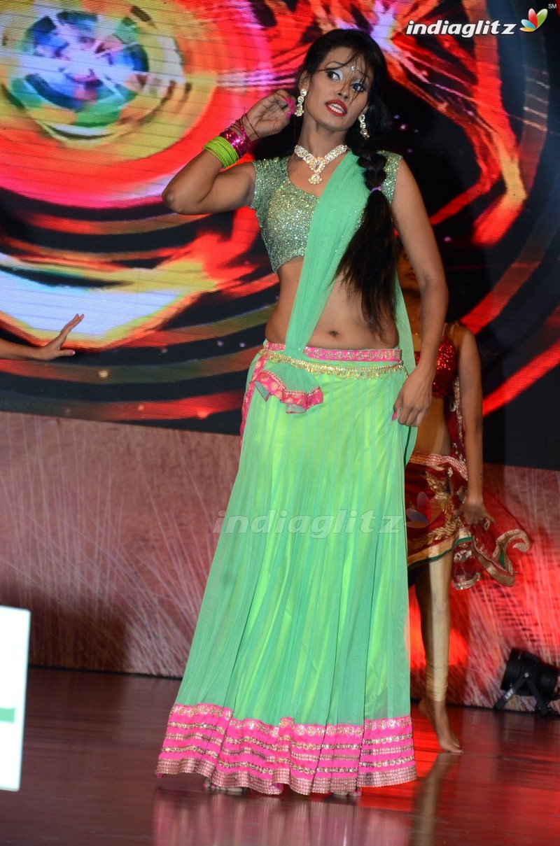 'Bhale Manchi Roju' Audio Launch (Set-01)