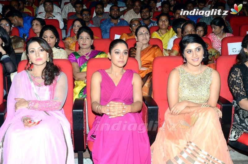 'Bhale Manchi Roju' Audio Launch (Set-01)