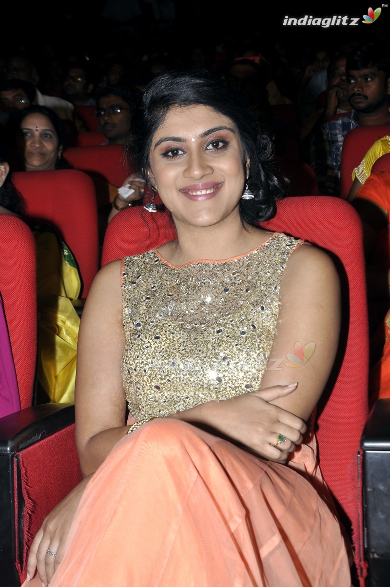 'Bhale Manchi Roju' Audio Launch (Set-01)