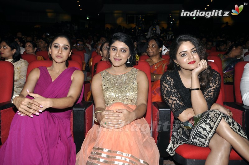 'Bhale Manchi Roju' Audio Launch (Set-01)