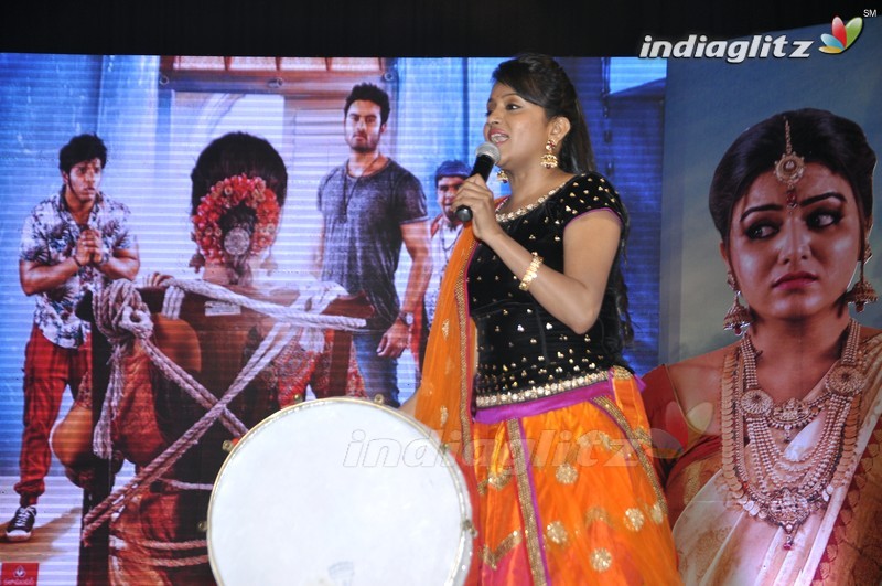 'Bhale Manchi Roju' Audio Launch (Set-01)