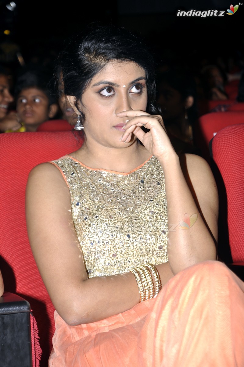 'Bhale Manchi Roju' Audio Launch (Set-01)