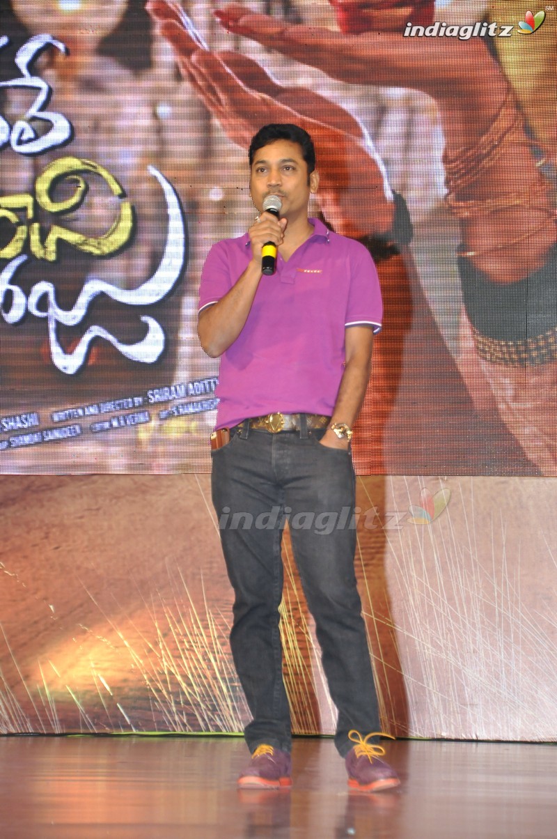 'Bhale Manchi Roju' Audio Launch (Set-01)