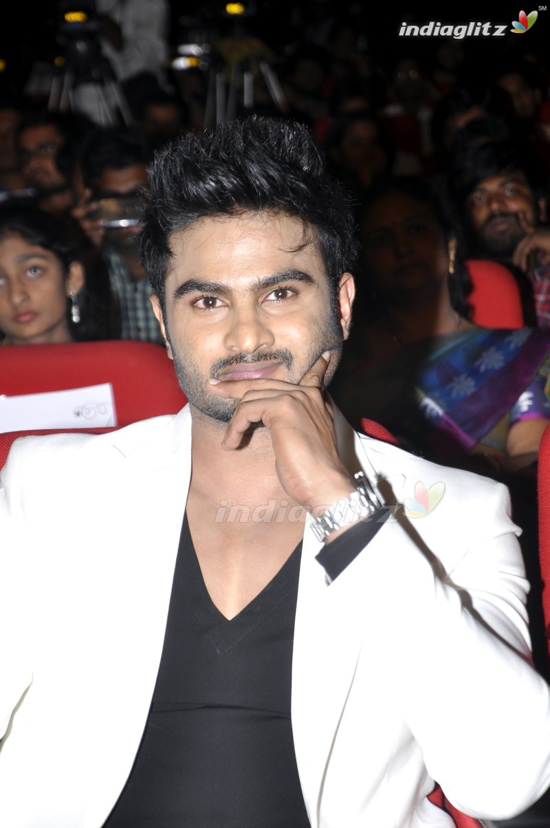 'Bhale Manchi Roju' Audio Launch (Set-01)