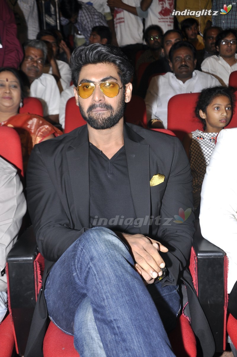 'Bhale Manchi Roju' Audio Launch (Set-01)