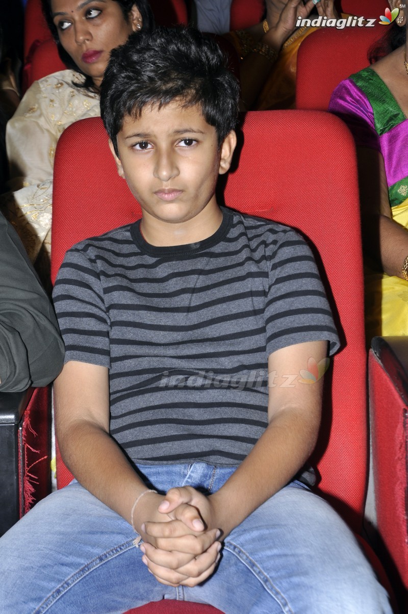 'Bhale Manchi Roju' Audio Launch (Set-01)