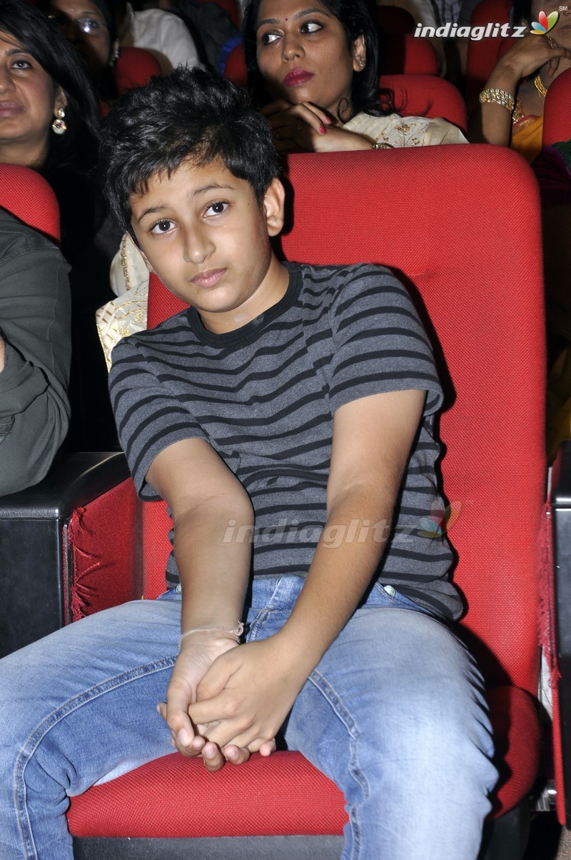 'Bhale Manchi Roju' Audio Launch (Set-01)