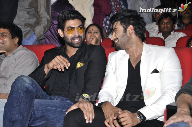 'Bhale Manchi Roju' Audio Launch (Set-01)