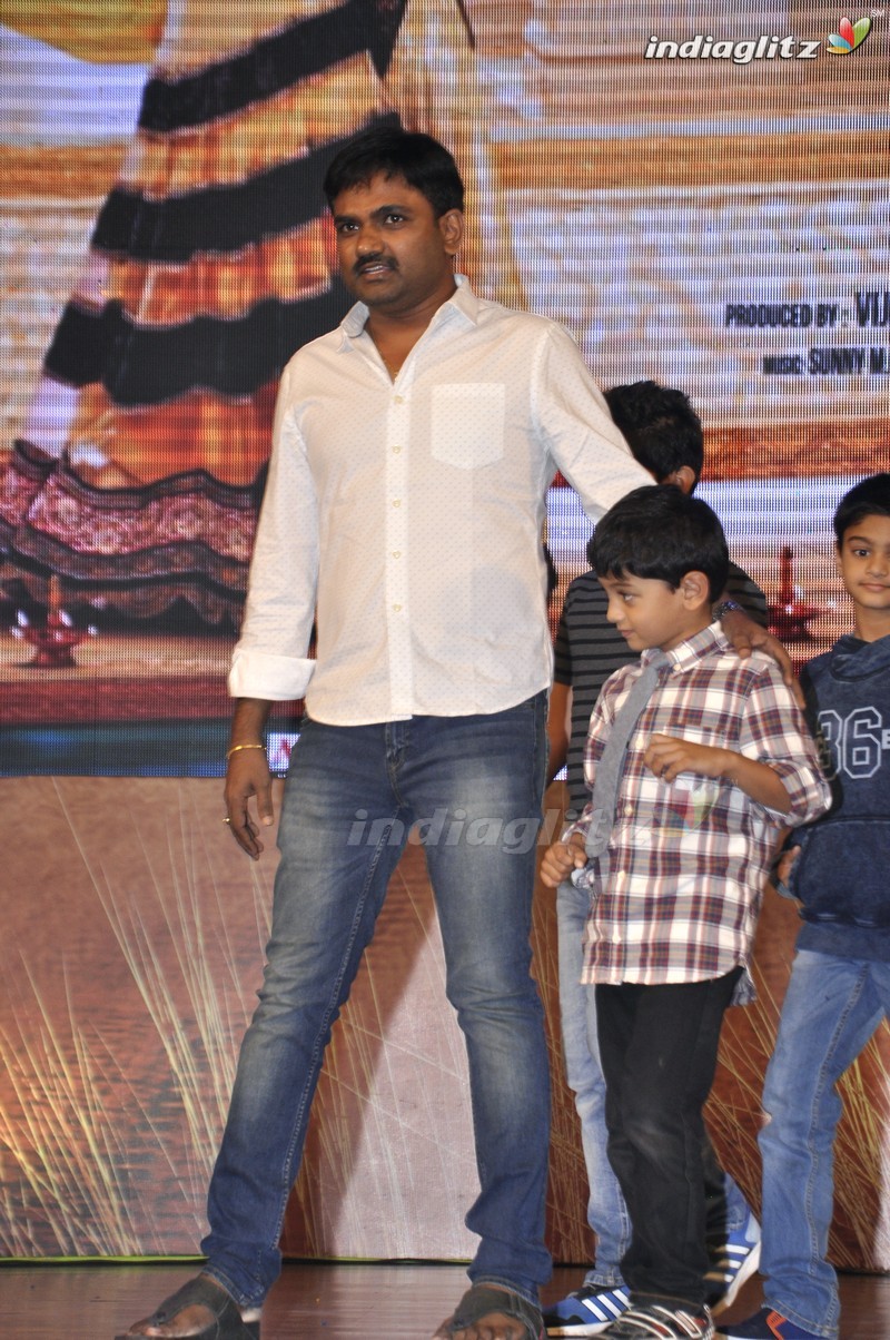 'Bhale Manchi Roju' Audio Launch (Set-01)