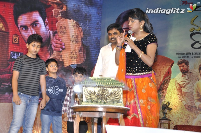 'Bhale Manchi Roju' Audio Launch (Set-02)