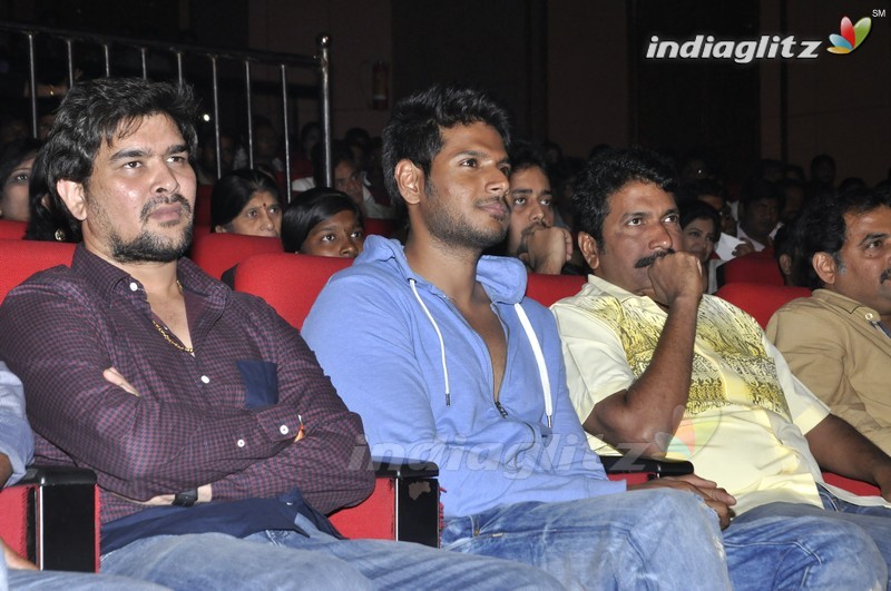 'Bhale Manchi Roju' Audio Launch (Set-02)